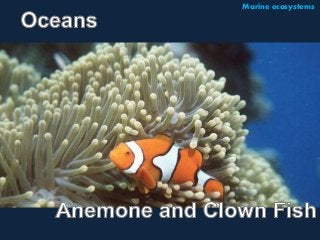 Marine ecosystems 
 