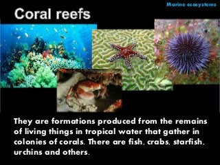 Marine ecosystems 
They are formations produced from the remains 
of living things in tropical water that gather in 
colonies of corals. There are fish, crabs, starfish, 
urchins and others. 
 