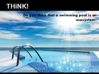 Do you think that a swimming pool is an 
ecosystem? 
 