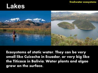 There are two types of aquatic ecosystems: 
•Freshwater or inland ecosystems. 
•Saltwater or marine ecosystems. 
 