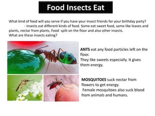 Food Insects Eat
What kind of food will you serve if you have your insect friends for your birthday party?
- Insects eat different kinds of food. Some eat sweet food, some like leaves and
plants, nectar from plants, Food spilt on the floor and also other insects.
What are these insects eating?
ANTS eat any food particles left on the
floor.
They like sweets especially. It gives
them energy.
MOSQUITOES suck nectar from
flowers to get energy.
Female mosquitoes also suck blood
from animals and humans.
 