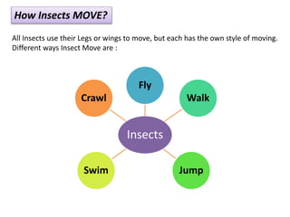 How Insects MOVE?
All Insects use their Legs or wings to move, but each has the own style of moving.
Different ways Insect Move are :
Insects
Fly
Walk
JumpSwim
Crawl
 