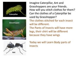 Imagine Caterpillar, Ant and
Grasshoppers are your friends.
Caterpillar
Grasshopper
Ant
How will you stitch clothes for them?
Can the clothes of a Caterpillar be
used by Grasshopper?
The clothes stitched for each insect
will be different.
The Pants of Insects will have more
legs, their shirt will be different
because they have wings
Today we will Learn Body parts of
Insects
 