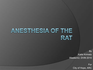 Anesthesia of the Rat By Katie Krimetz WesternU, DVM 2010 For City of Hope, ARC 