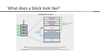 What does a block look like?
 