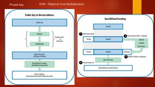 Private Key ECM – Elliptical Cure Multiplication
 