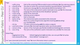 HyperLedgerFabric–PeerCLI
20
Flags:
--cafile string Path to file containing PEM-encoded trusted certificate(s) for the ordering endpoint
-C, --chainID string The chain on which this command should be executed (default "testchainid")
-c, --ctor string Constructor message for the chaincode in JSON format (default "{}")
-E, --escc string The name of the endorsement system chaincode to be used for this chaincode
-l, --lang string Language the chaincode is written in (default "golang")
-n, --name string Name of the chaincode
-o, --orderer string Ordering service endpoint
-p, --path string Path to chaincode
-P, --policy string The endorsement policy associated to this chaincode
-t, --tid string Name of a custom ID generation algorithm (hashing and decoding)
e.g. sha256base64
--tls Use TLS when communicating with the orderer endpoint
-u, --username string Username for chaincode operations when security is enabled
-v, --version string Version of the chaincode specified in install/instantiate/upgrade commands
-V, --vscc string The name of the verification system chaincode to be used for this chaincode
Global Flags:
--logging-level string Default logging level and overrides, see core.yaml for full syntax
--test.coverprofile string Done (default "coverage.cov")
Use "peer chaincode [command] --help" for more information about a command.
2
Source : http://hyperledger-fabric.readthedocs.io/en/release-1.0/chaincode4noah.html01-02-2019
 