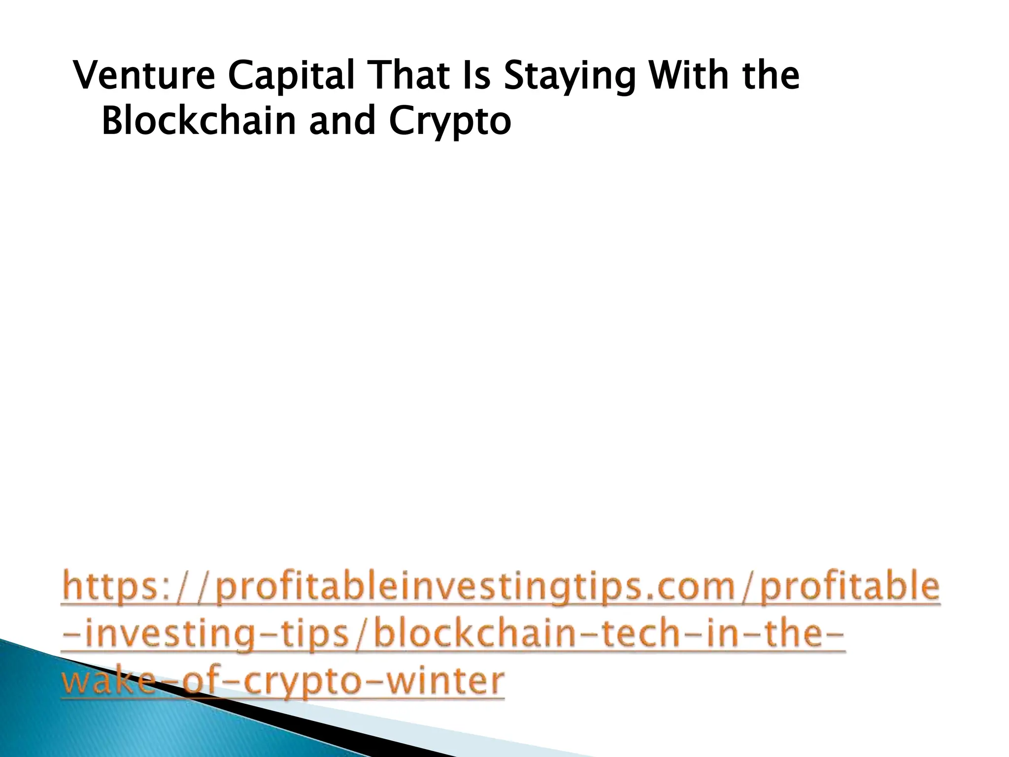 Venture Capital That Is Staying With the
Blockchain and Crypto
 