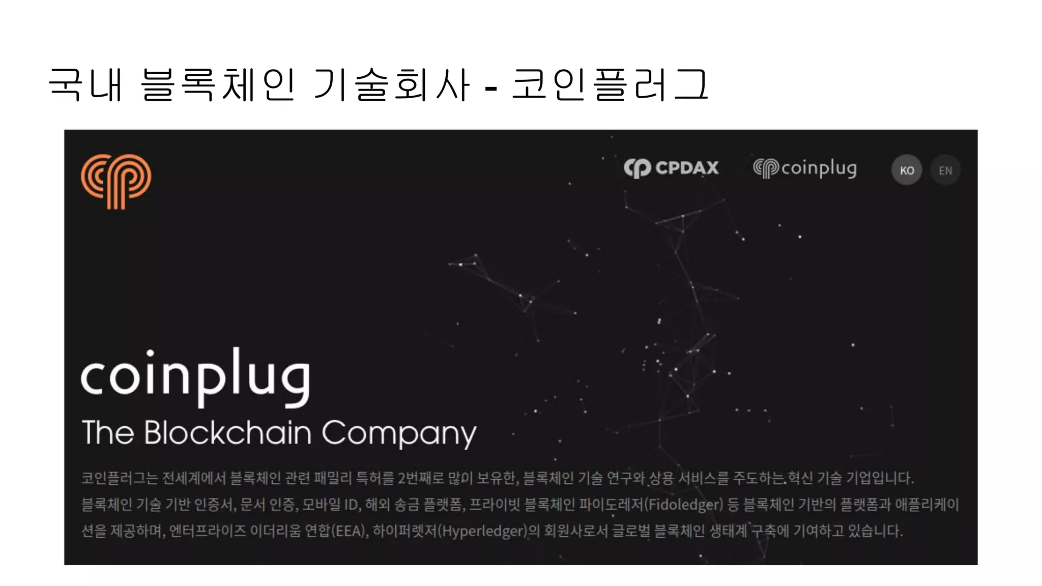 국내 블록체인 기술회사 - 코인플러그
 