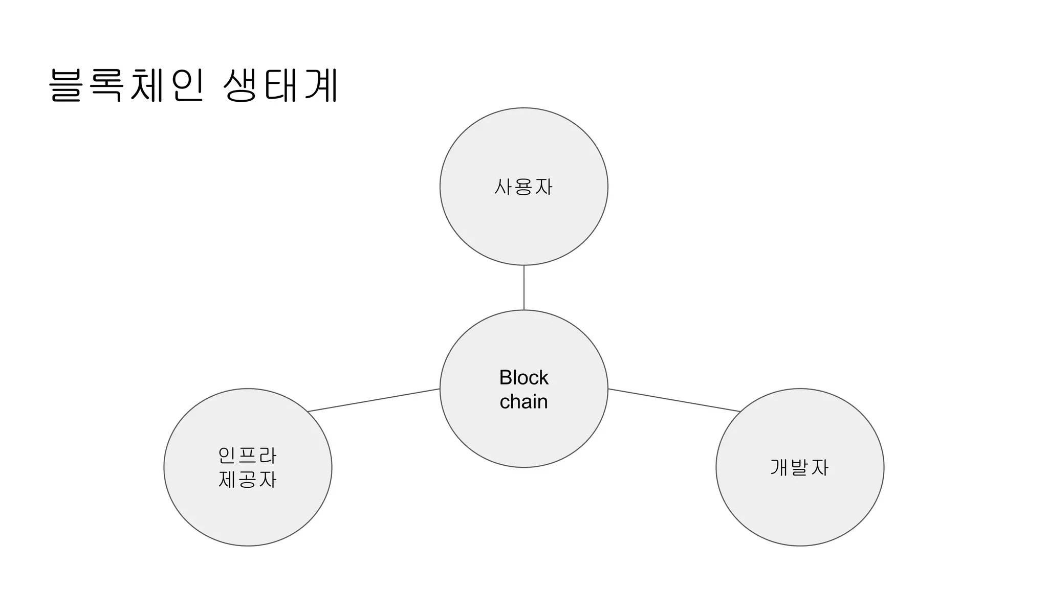 블록체인 생태계
Block
chain
사용자
인프라
제공자
개발자
블록체인
 