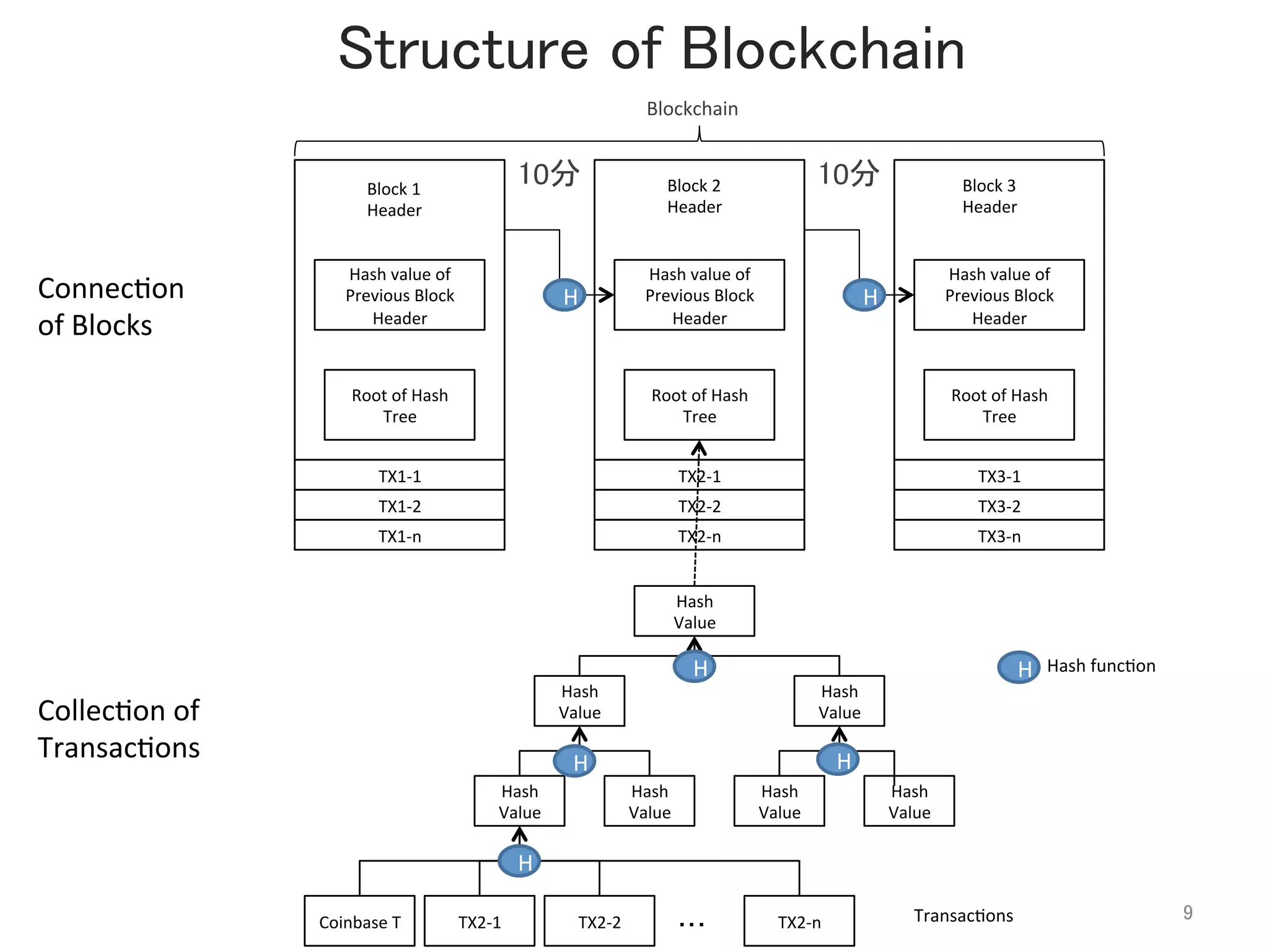 Block	
  1	
  
Header	
Hash	
  value	
  of	
  
Previous	
  Block	
  
Header	
Hash	
  value	
  of	
  
Previous	
  Block	
  
Header	
Hash	
  value	
  of	
  
Previous	
  Block	
  
Header	
Root	
  of	
  Hash	
  
Tree	
Root	
  of	
  Hash	
  
Tree	
Root	
  of	
  Hash	
  
Tree	
Hash	
  	
  
Value	
Hash	
  	
  
Value	
Hash	
  	
  
Value	
Hash	
  	
  
Value	
Hash	
  	
  
Value	
Hash	
  	
  
Value	
Hash	
  	
  
Value	
TX2-­‐2	
 Transac@ons	
Blockchain	
TX2-­‐1	
Coinbase	
  T	
 TX2-­‐n	
・・・	
H
HH
H
H H
TX1-­‐1	
TX1-­‐n	
TX1-­‐2	
TX2-­‐1	
TX2-­‐n	
TX2-­‐2	
TX3-­‐1	
TX3-­‐n	
TX3-­‐2	
H Hash	
  func@on	
Structure of Blockchain	
9	
10分	
 10分	
Block	
  2	
  
Header	
Block	
  3	
  
Header	
Collec@on	
  of	
  
Transac@ons	
Connec@on	
  
of	
  Blocks	
 