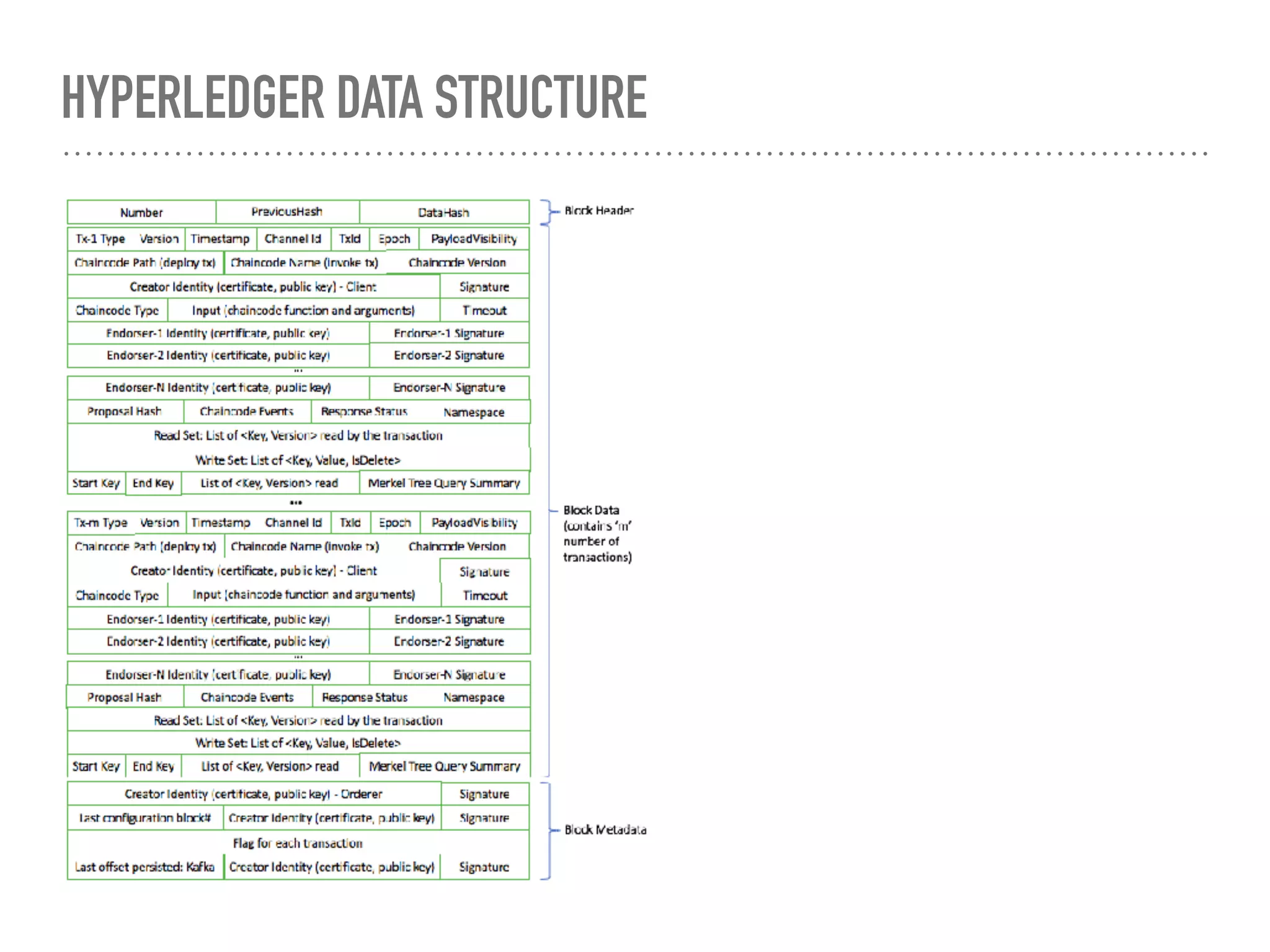 HYPERLEDGER DATA STRUCTURE
 