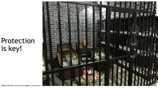 ©Mark Mueller-Eberstein & Adgetec Corporation
Protection
is key!
 