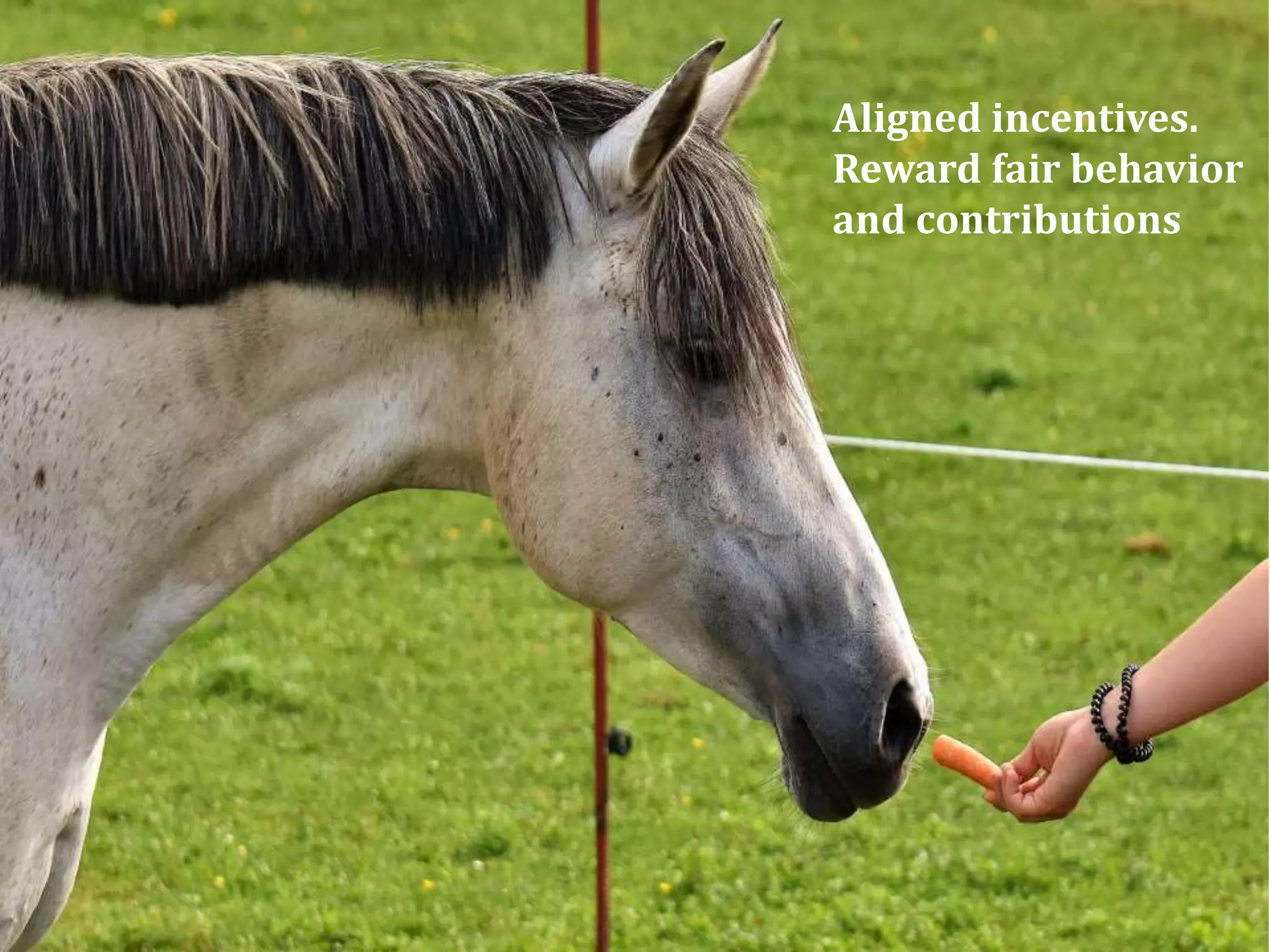 Aligned incentives.
Reward fair behavior
and contributions
 