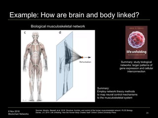 8 Nov 2018
Blockchain Networks
Example: How are brain and body linked?
31
Sources: Murphy, Bassett, et al. 2018. Structure, function, and control of the human musculoskeletal network. PLOS Biology.
Davies, J.A. 2014. Life Unfolding: How the Human Body Creates Itself. Oxford: Oxford University Press.
Summary:
Employ network theory methods
to map neural control mechanisms
to the musculoskeletal system
Summary: study biological
networks: larger patterns of
gene expression and cellular
interconnection
Biological musculoskeletal network
 