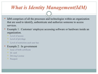 Idm Examples Identity management in blockchain technology.pptx