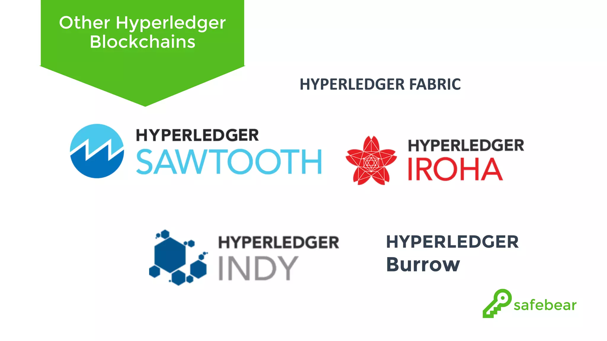 Other Hyperledger Blockchains HYPERLEDGER Burrow HYPERLEDGER	FABRIC 