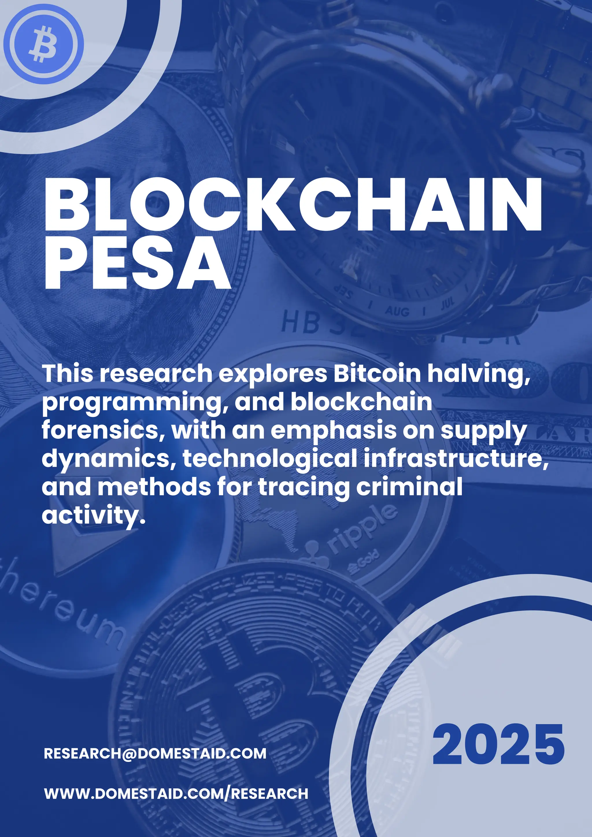 Blockchain Pesa Research by Samuel Mefane | PDF
