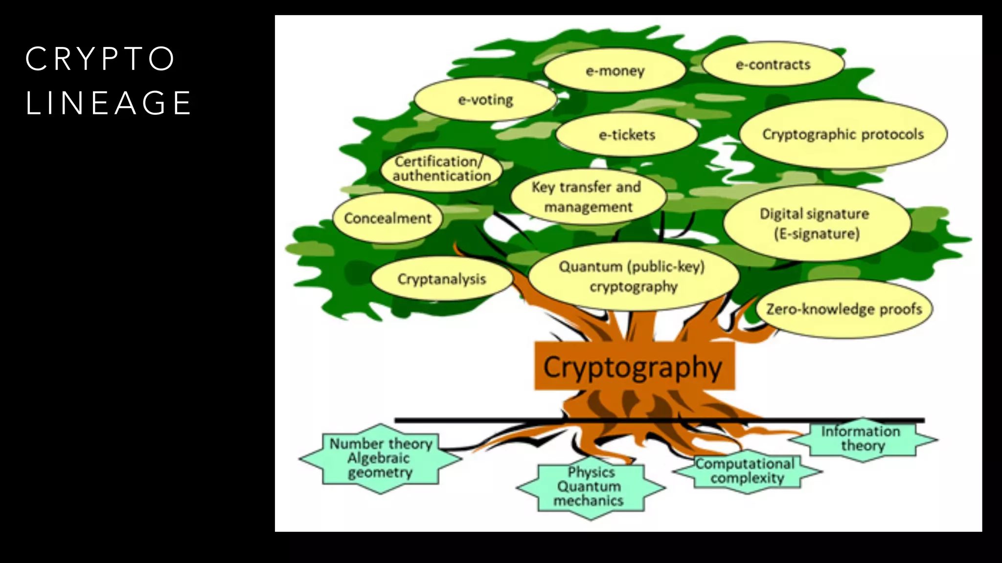 C RY P T O
L I N E A G E
 