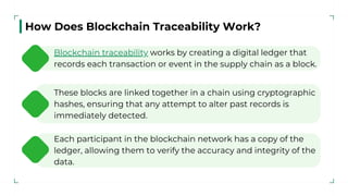 Blockchain Traceability Explained: A Comprehensive Guide for Beginners ...