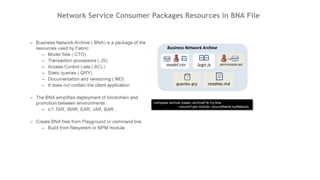 Network Service Consumer Packages Resources in BNA File
 
