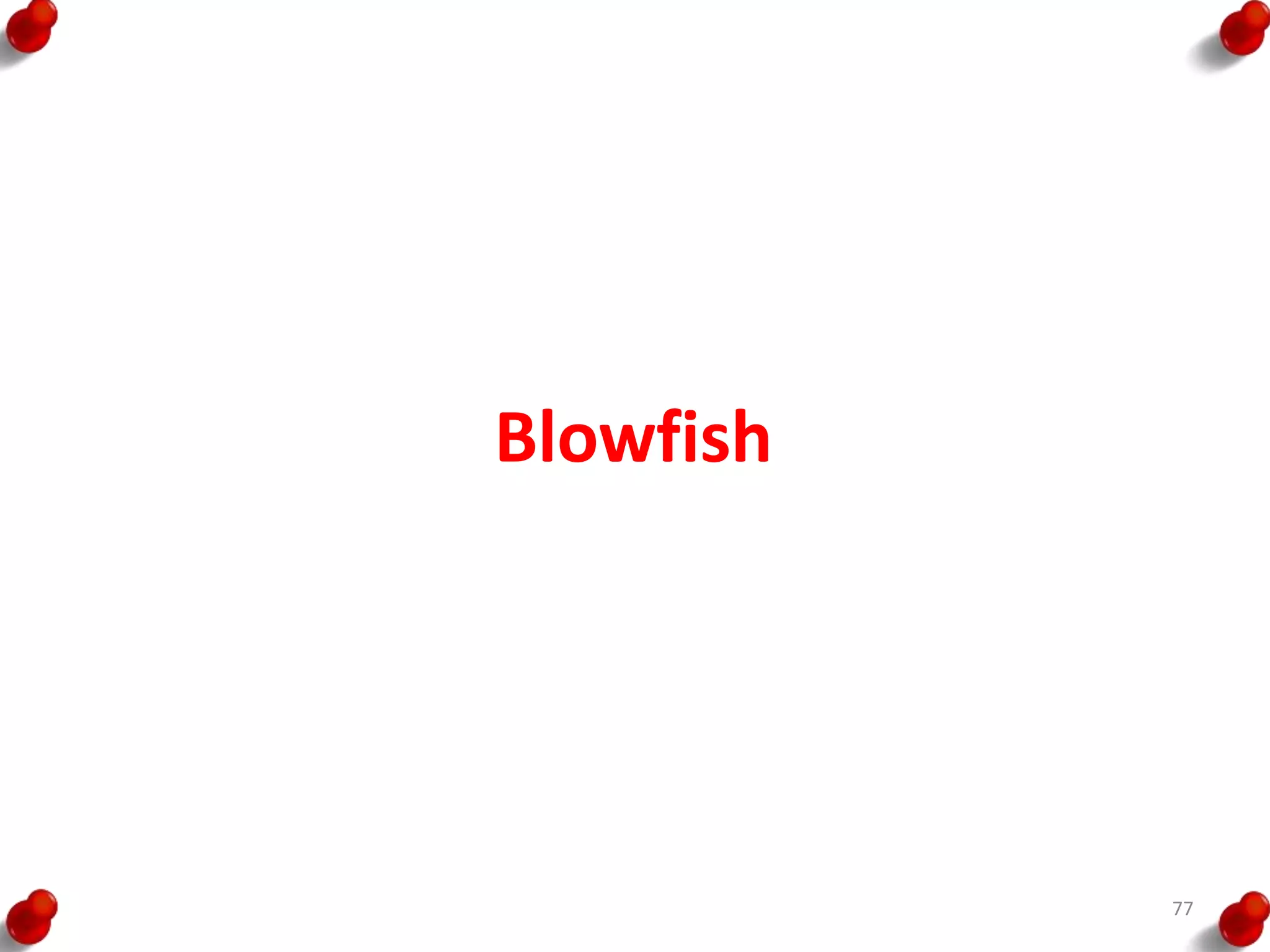 Blowfish
77
 