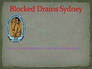 Blocked Drains Sydney http://www.ruttleyplumbing.com.au/blocked-drains-sydney.html 
