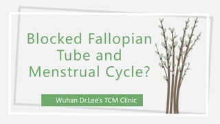 Blocked Fallopian
Tube and
Menstrual Cycle?
Wuhan Dr.Lee's TCM Clinic
 