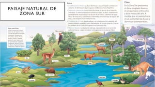 PAISAJE NATURAL DE
ZONA SUR
 