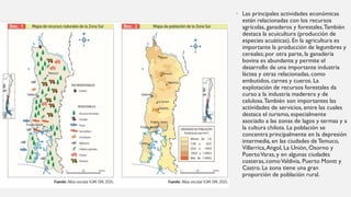 • Las principales actividades económicas
están relacionadas con los recursos
agrícolas, ganaderos y forestales.También
destaca la acuicultura (producción de
especies acuáticas). En la agricultura es
importante la producción de legumbres y
cereales; por otra parte,la ganadería
bovina es abundante y permite el
desarrollo de una importante industria
láctea y otras relacionadas, como
embutidos, carnes y cueros. La
explotación de recursos forestales da
curso a la industria maderera y de
celulosa.También son importantes las
actividades de servicios, entre las cuales
destaca el turismo, especialmente
asociado a las zonas de lagos y termas y a
la cultura chilota. La población se
concentra principalmente en la depresión
intermedia, en las ciudades de Temuco,
Villarrica,Angol, La Unión, Osorno y
PuertoVaras, y en algunas ciudades
costeras, comoValdivia, Puerto Montt y
Castro. La zona tiene una gran
proporción de población rural.
 