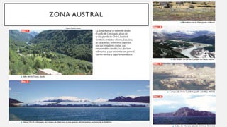 ZONA AUSTRAL
 