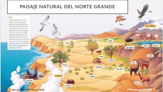 PAISAJE NATURAL DEL NORTE GRANDE
 