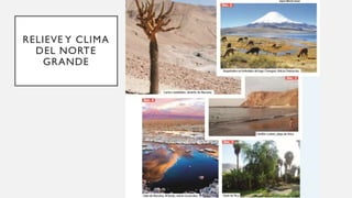 RELIEVE Y CLIMA
DEL NORTE
GRANDE
 