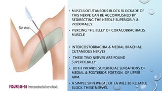 • MUSCULOCUTANEOUS BLOCK BLOCKADE OF
THIS NERVE CAN BE ACCOMPLISHED BY
REDIRECTING THE NEEDLE SUPERIORLY &
PROXIMALLY
• PIERCING THE BELLY OF CORACOBRACHIALIS
MUSCLE
• INTERCOSTOBRACHIA & MEDIAL BRACHIAL
CUTANEOUS NERVES
• THESE TWO NERVES ARE FOUND
SUPERFICIALLY
• BOTH PROVIDE SUPERFICIAL SENSATIONS OF
MEDIAL & POSTERIOR PORTION OF UPPER
ARM.
• A SIMPLE SKIN WHEAL OF LA WILL BE RELIABLE
BLOCK THESE NERVES.
 