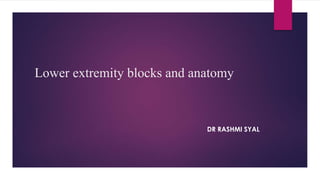Lower extremity blocks and anatomy
DR RASHMI SYAL
 
