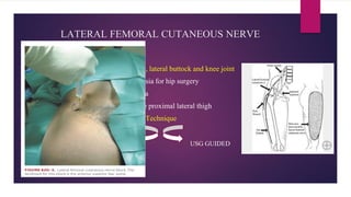 LATERAL FEMORAL CUTANEOUS NERVE
• Contributions from L2 & L3
• Sensory supply to the lateral thigh, lateral buttock and knee joint
• Indications: Postoperative analgesia for hip surgery
Meralgia paresthetica
Muscle biopsy of the proximal lateral thigh
Technique
LANDMARK
USG GUIDED
 