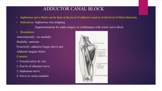 ADDUCTOR CANAL BLOCK
• Saphenous nerve block can be done at the level of adductor canal or at the level of tibial tuberosity
• Indications: Saphenous vein stripping
Supplementation for ankle surgery in combination with sciatic nerve block
• Boundaries:
Anterolaterally- vas medialis
Medially- sartorius
Posteriorly- adductor longus above and
Adductor magnus below
Contents:
1. Femoral artery & vein
2. Post br of obturator nerve
3. Saphenous nerve
4. Nerve to vastus medialis
 