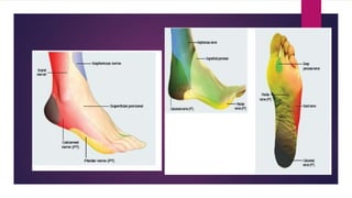 Blocks Lower limb.pptx