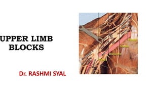 UPPER LIMB
BLOCKS
Dr. RASHMI SYAL
 