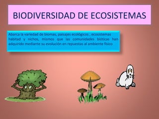 BIODIVERSIDAD DE ECOSISTEMAS Abarca la variedad de biomas, paisajes ecológicos , ecosistemas  habitad y nichos, mismos que las comunidades bióticas han adquirido mediante su evolución en repuestas al ambiente físico 