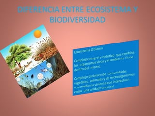 DIFERENCIA ENTRE ECOSISTEMA Y BIODIVERSIDAD 