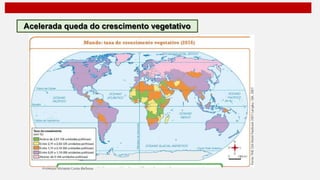 Acelerada queda do crescimento vegetativo
 