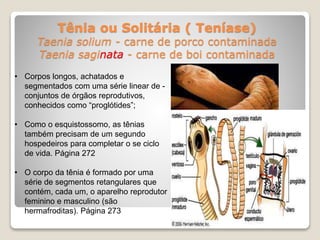 Tênia ou Solitária ( Teníase)
Taenia solium - carne de porco contaminada
Taenia saginata - carne de boi contaminada
• Corpos longos, achatados e
segmentados com uma série linear de -
conjuntos de órgãos reprodutivos,
conhecidos como “proglótides”;
• Como o esquistossomo, as tênias
também precisam de um segundo
hospedeiros para completar o se ciclo
de vida. Página 272
• O corpo da tênia é formado por uma
série de segmentos retangulares que
contém, cada um, o aparelho reprodutor
feminino e masculino (são
hermafroditas). Página 273
 