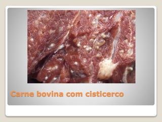 Carne bovina com cisticerco
 