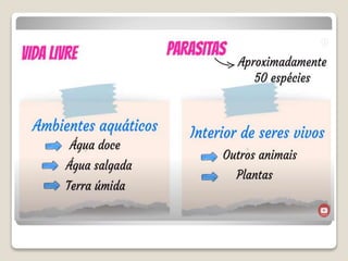 Bloco_17_e_18_Platelmintos_e_Nematelmintos.ppt