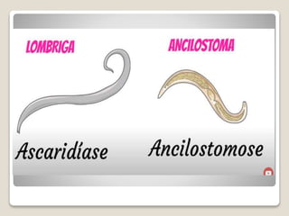 Bloco_17_e_18_Platelmintos_e_Nematelmintos.ppt