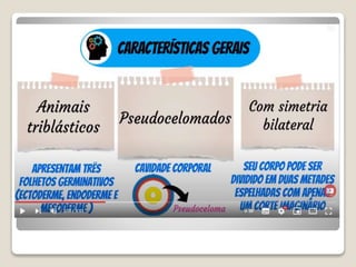 Bloco_17_e_18_Platelmintos_e_Nematelmintos.ppt