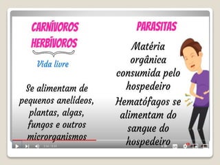 Bloco_17_e_18_Platelmintos_e_Nematelmintos.ppt