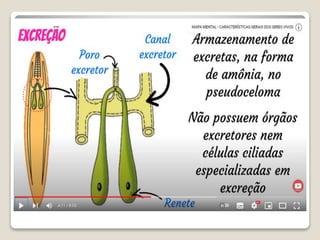 Bloco_17_e_18_Platelmintos_e_Nematelmintos.ppt
