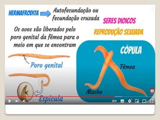 Bloco_17_e_18_Platelmintos_e_Nematelmintos.ppt